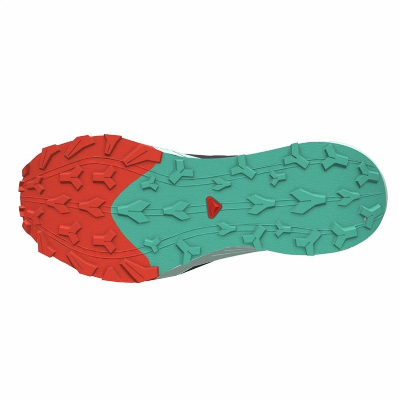 Беговые кроссовки для взрослых Salomon Thundercross Чёрный