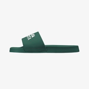 BASIC - Pool slides - dark green