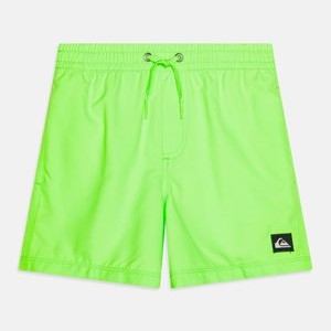 EVERYDAY SOLID VOLLEY - Swimming shorts - green gecko EVERYDAY SOLID VOLLEY - Swimming shorts - green gecko