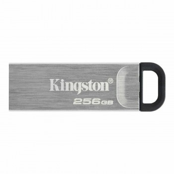USВ-флешь память Kingston Чёрный 256 GB