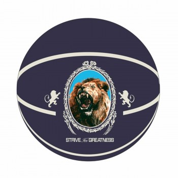 Баскетбольный мяч Nike Playground 2.0 8P James Тёмно Синий (Размер 7)