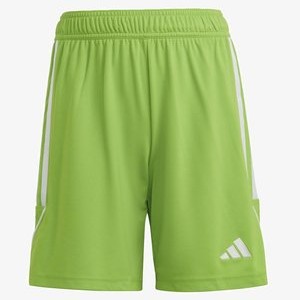 TIRO 23 - Sports shorts - team semi sol green white TIRO 23 - Sports shorts - team semi sol green white