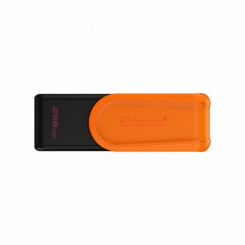 Карта памяти микро-SD с адаптером Kingston DTXS/256GB Чёрный 256 GB
