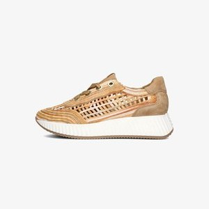 Trainers - bruin Trainers - bruin