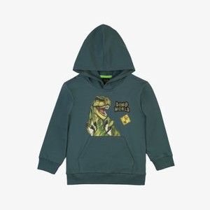 Hoodie - duck green Hoodie - duck green