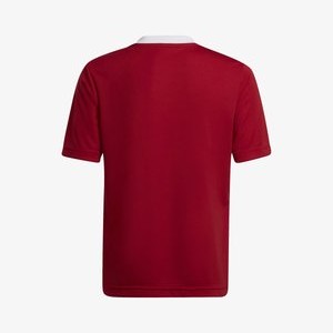 ENTRADA 22 - Football shirt - team power red ENTRADA 22 - Football shirt - team power red
