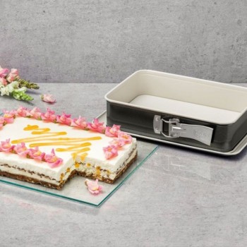 Съемная форма Dr. Oetker