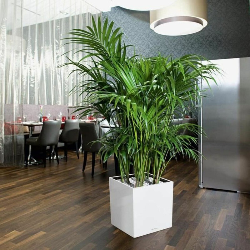 Горшок с автополивом Lechuza Белый 40 x 40 cm полипропилен Пластик