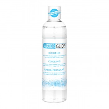 Лубрикант Waterglide 300 ml
