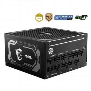 Источник питания MSI 306-7ZP9B11-CE0 1000 W ATX 80 Plus Gold