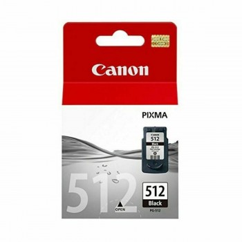 Картридж с оригинальными чернилами Canon CCICTO0233 2969B001 Чёрный