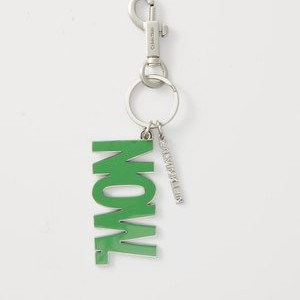 WORD GRAPHIC CAPSULE UNISEX - Keyring - silver-coloured/green WORD GRAPHIC CAPSULE UNISEX - Keyring - silver-coloured/green