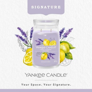 Ароматизированная свеча Yankee Candle 1629970E