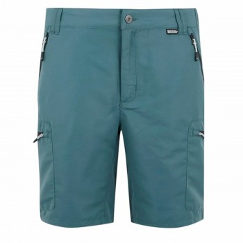 Спортивные шорты Regatta LeesvilleShrtIII гора