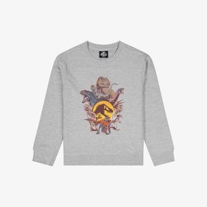 JURASSIC WORLD - Sweatshirt - grau JURASSIC WORLD - Sweatshirt - grau