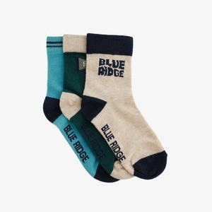 3 PACK - Socks - multi coloured