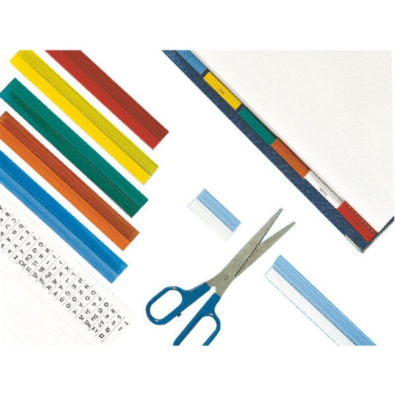 Папка Esselte Разноцветный