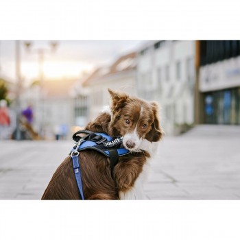 Метки для ремня Julius K9 DON'T TOUCH S Белый Чёрный (2 штук)