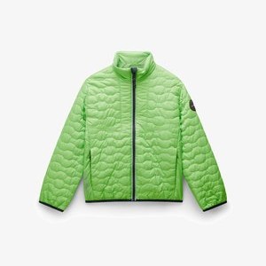 Winter jacket - green macaw Winter jacket - green macaw