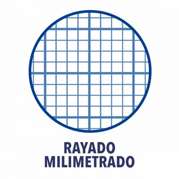 ноутбук Oxford Write&Erase Разноцветный Din A4 80 Листья 21,5 x 31,5 cm 5 Предметы