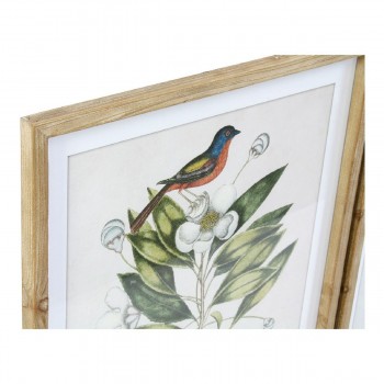 Картина DKD Home Decor Bird Стеклянный Ель 55 x 2,5 x 70 cm (4 Предметы)