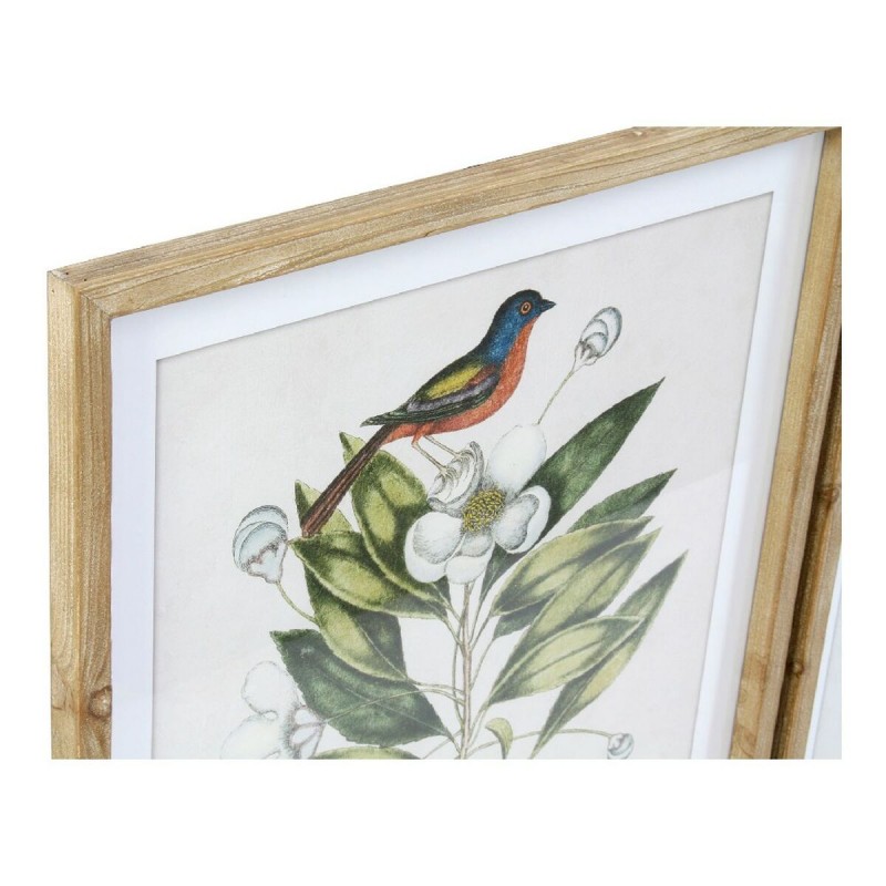 Картина DKD Home Decor Bird Стеклянный Ель 55 x 2,5 x 70 cm (4 Предметы)