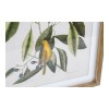 Картина DKD Home Decor Bird Стеклянный Ель 55 x 2,5 x 70 cm (4 Предметы)