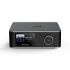Беспроводный музыкальный приемник Wiim WIIM ULTRA