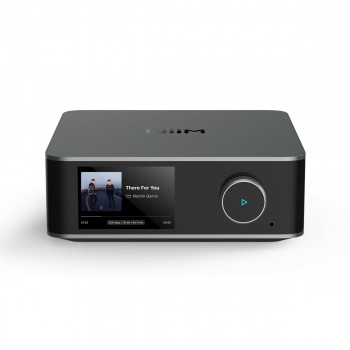 Беспроводный музыкальный приемник Wiim WIIM ULTRA