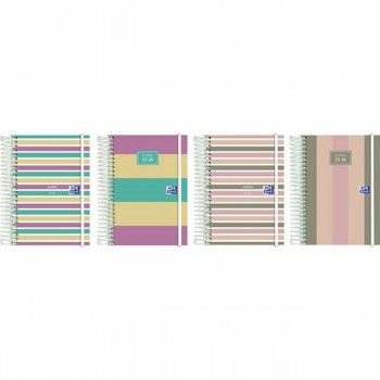 Расписание Oxford COLOR BLOCK 1/8 12 x 18 cm 2025-2026 (8 штук)