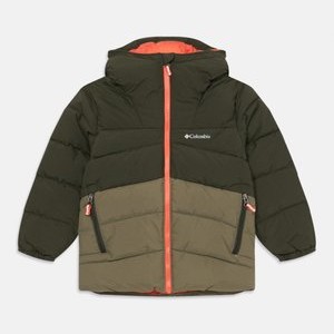 ARCTIC BLAST JACKET - Snowboard jacket - greenscape/stone green ARCTIC BLAST JACKET - Snowboard jacket - greenscape/stone green