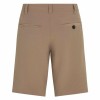 Мужские Шорты O'Neill Hybrid 19” Коричневый