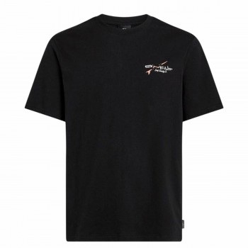 Футболка с коротким рукавом мужская O'Neill Retro Back Print Чёрный