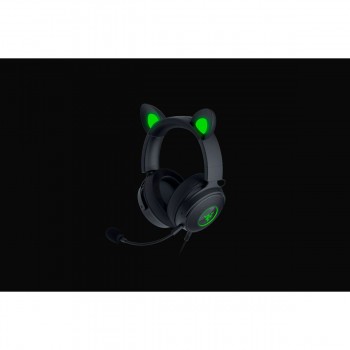 Наушники с микрофоном Razer RZ04-04510100-R3M1