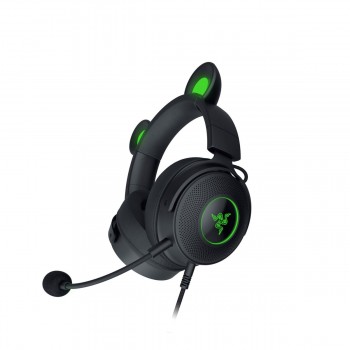 Наушники с микрофоном Razer RZ04-04510100-R3M1