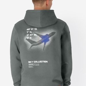 FLIGHT - Hoodie - grau FLIGHT - Hoodie - grau