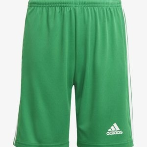 SQUADRA 21 - Sports shorts - green SQUADRA 21 - Sports shorts - green