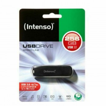 USВ-флешь память INTENSO Чёрный 256 GB