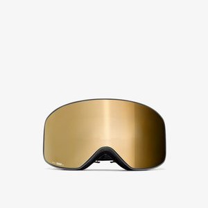 ARTIK BIG - Ski goggles - brown