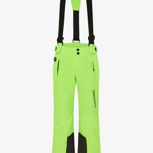 MIT PLUS-MINUS-PRINT - Ski pants - green gecko MIT PLUS-MINUS-PRINT - Ski pants - green gecko
