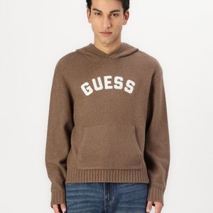 GO SWEATER HOODIE - Jumper - burnette brown GO SWEATER HOODIE - Jumper - burnette brown