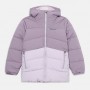 ARCTIC BLAST JACKET - Snowboard jacket - shale purple/lavender pearl