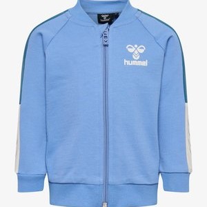 Zip-up sweatshirt - silver lake blue