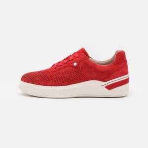LACE UP - Trainers - sangria LACE UP - Trainers - sangria