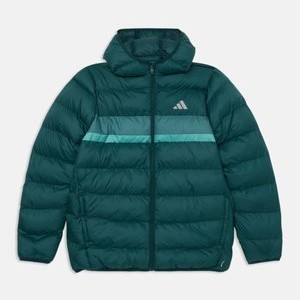 JACKET JUNIOR UNISEX - Winter jacket - aurora ivy/preloved teal/powder teal JACKET JUNIOR UNISEX - Winter jacket - aurora ivy/preloved teal/powder teal