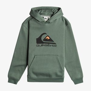 BIG LOGO YOUTH - Hoodie - laurel wreath BIG LOGO YOUTH - Hoodie - laurel wreath