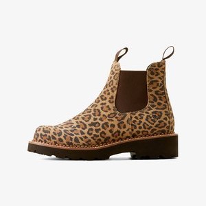 Ankle boots - cheetah Ankle boots - cheetah