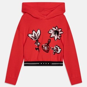 Hoodie - bright red