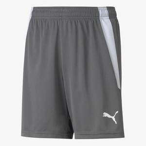 TEAMLIGA  - Sports shorts - grauweiss TEAMLIGA  - Sports shorts - grauweiss