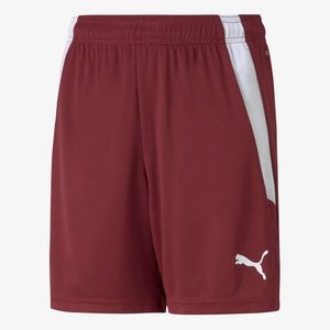 TEAMLIGA  - Sports shorts - rotweiss TEAMLIGA  - Sports shorts - rotweiss